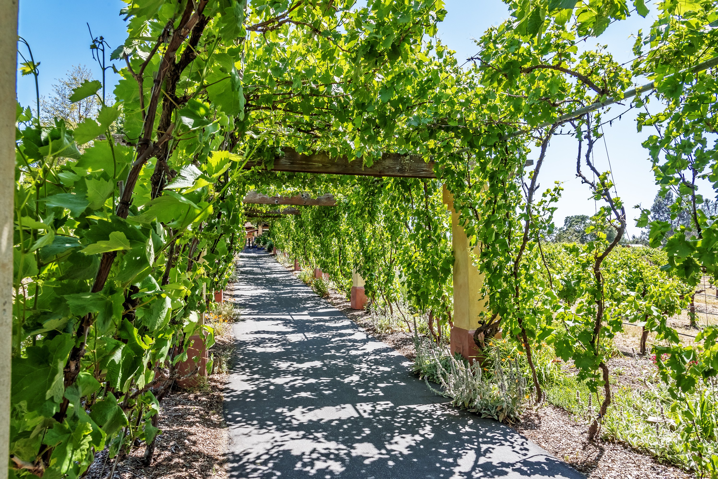 5 viajes por carretera inesperados en California 